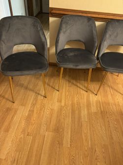 Dining Chairs