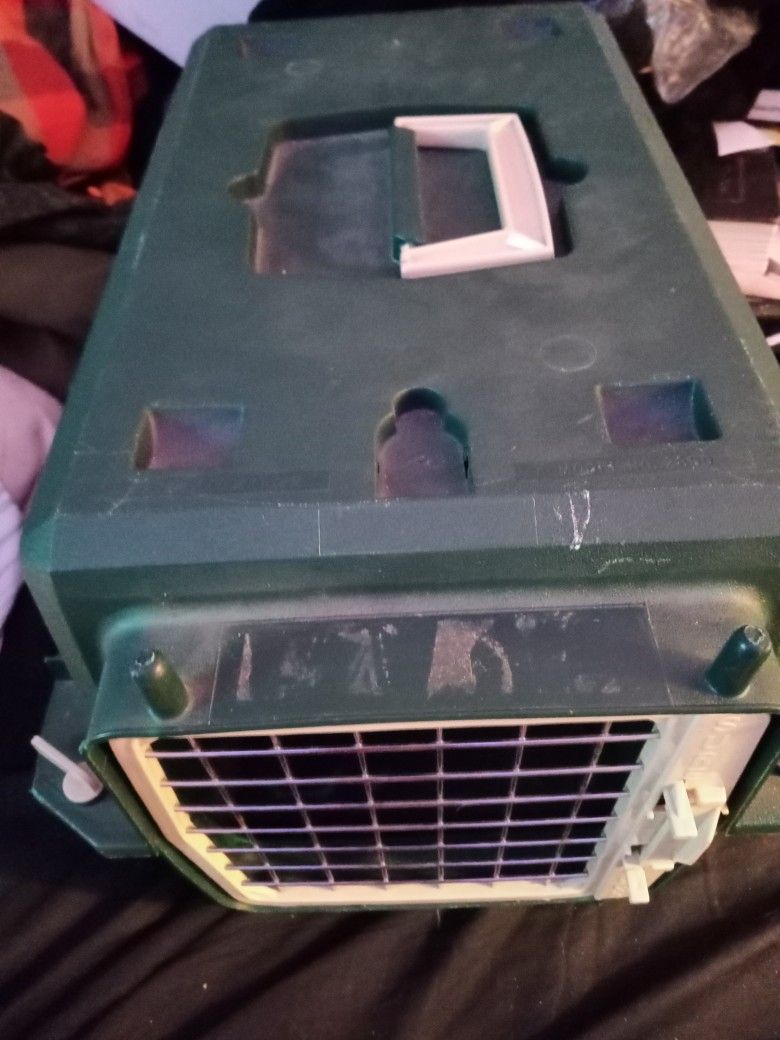 Green Pet Carrier