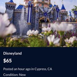 Disneyland scammer