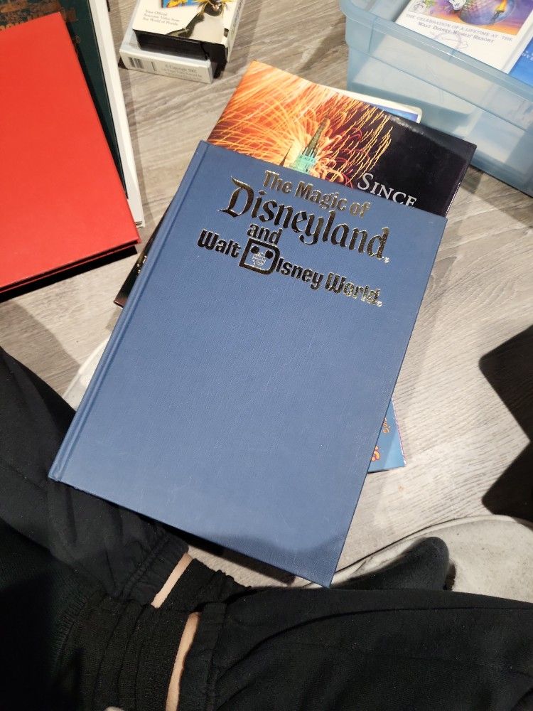 The Magic Of Disneyland And Walt Disney World