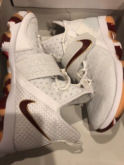 Lebron 14 CAVS Size 11