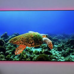 Tv Lg G4 77 inch 