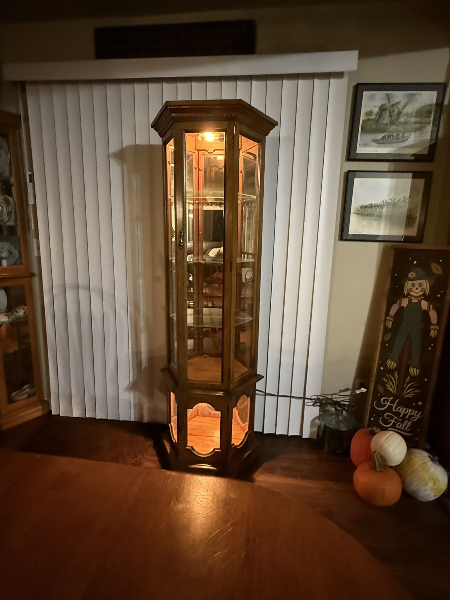 Curio Cabinet 