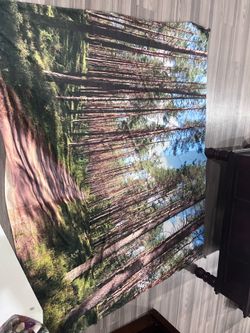 5ftx5ft big woodsy wall tapestry