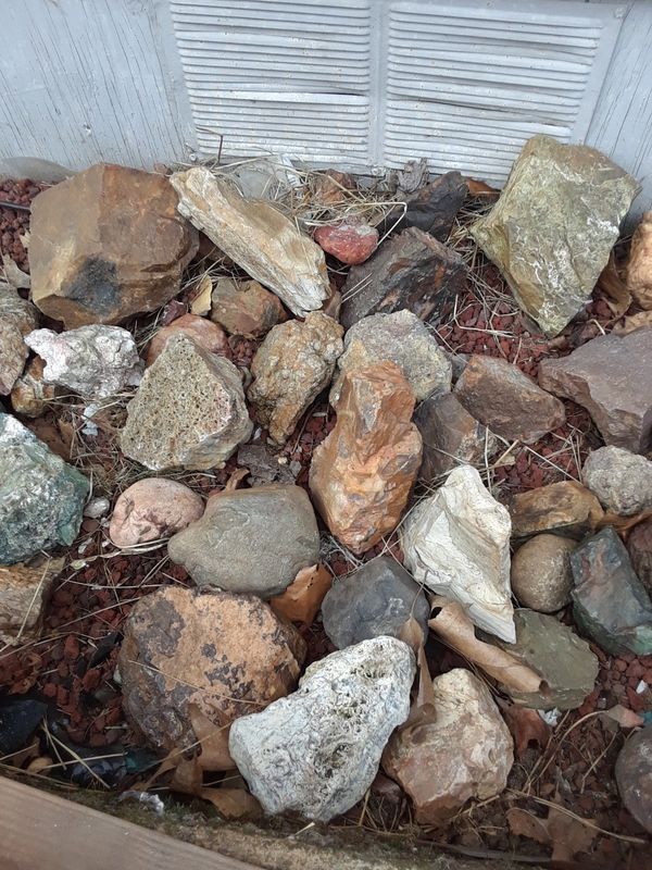 Rocks for the rockhound for Sale in Vancouver, WA - OfferUp