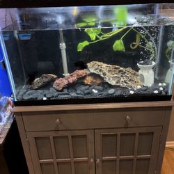 30-39 Gallon Aquarium & Stand