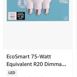 EcoSmart 65 Watt