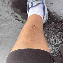 Help me and my family, I want to start my life over 🇺🇸🙌🇮🇱