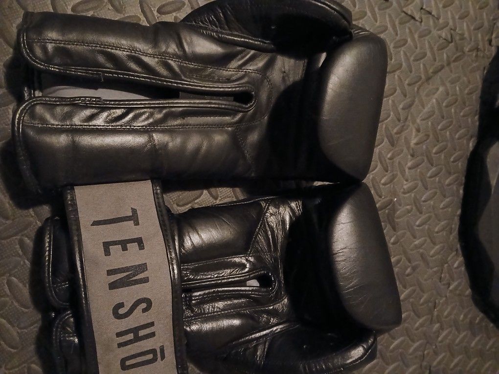 Tensho Boxing Gloves