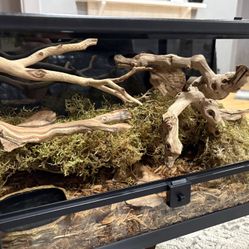 Custom Reptile Enclosure