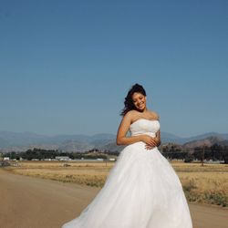 David’s Bridal Wedding Dress