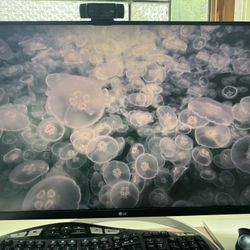 LG Computer Monitor 32 Inch