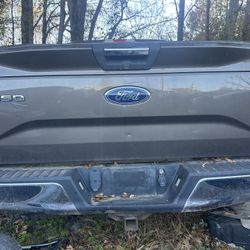 2015 Ford F150 tailgate with Camera