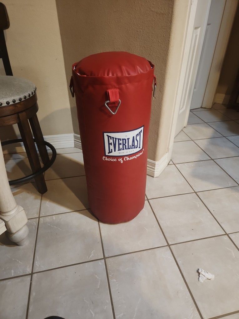 Punching Bag Everlast