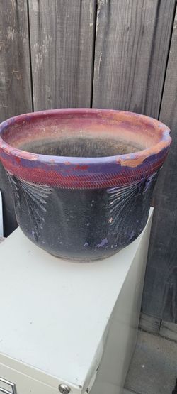 Pot