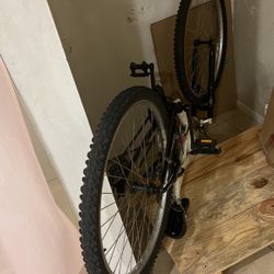 Bike 26”