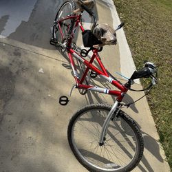 TANDEM BIKE