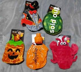 CUTE THRILLS AND CHILLS SMALL PET COSTUMES