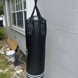 Boxing Bag 