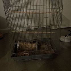 Bird Cage