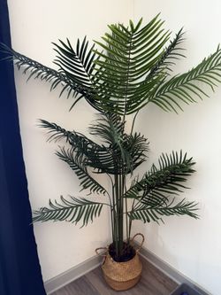 6 Ft. Tall Faux Palm Plant w/ Basket — $50