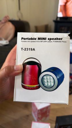Portable mini speaker