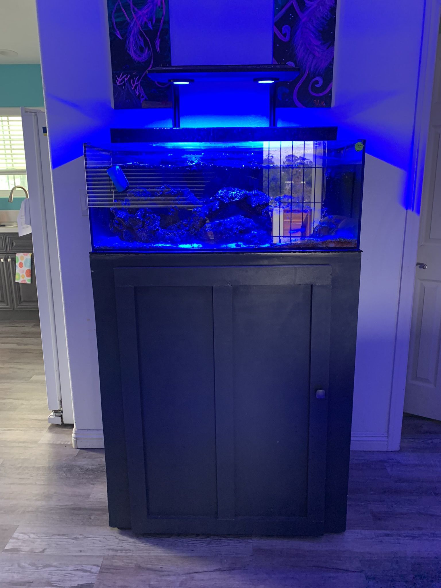 Fish Tank