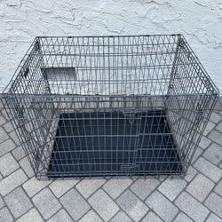Dog Kennel