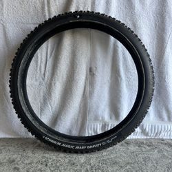 Magic Mary Radial Mountain Bike Tire 