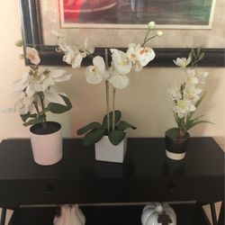 Artificiales Plantas