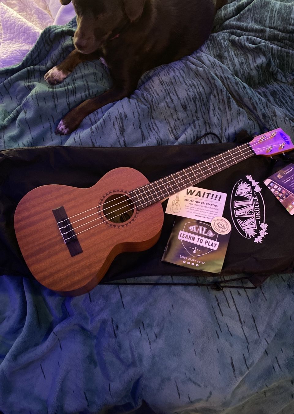 Kala Ukelele - Learn to play starter kit