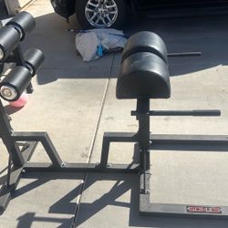 Ethos Glute and Ham Developer