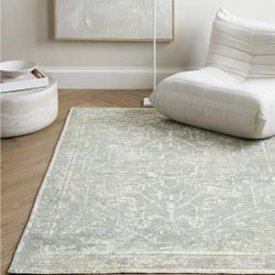 New Quince 5x8 Area Rug