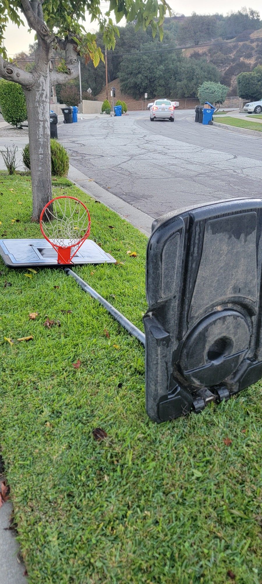 Basketball Hoop