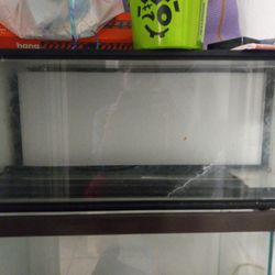 Fish Tank 