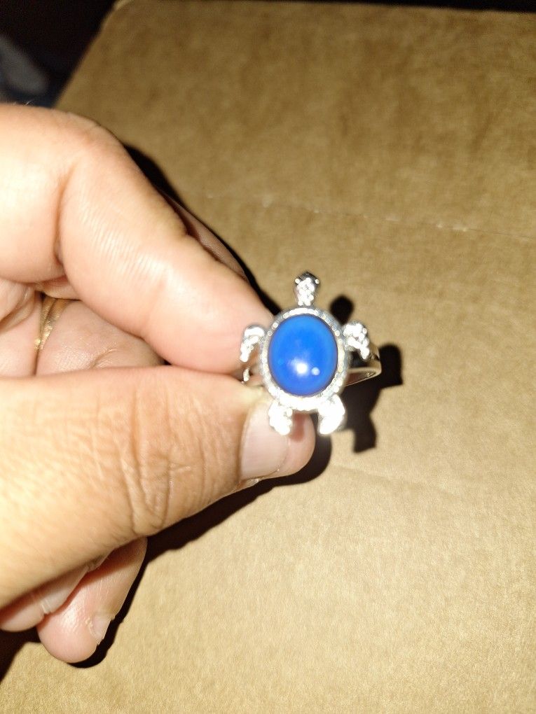 Turtle 🐢 Mood Ring