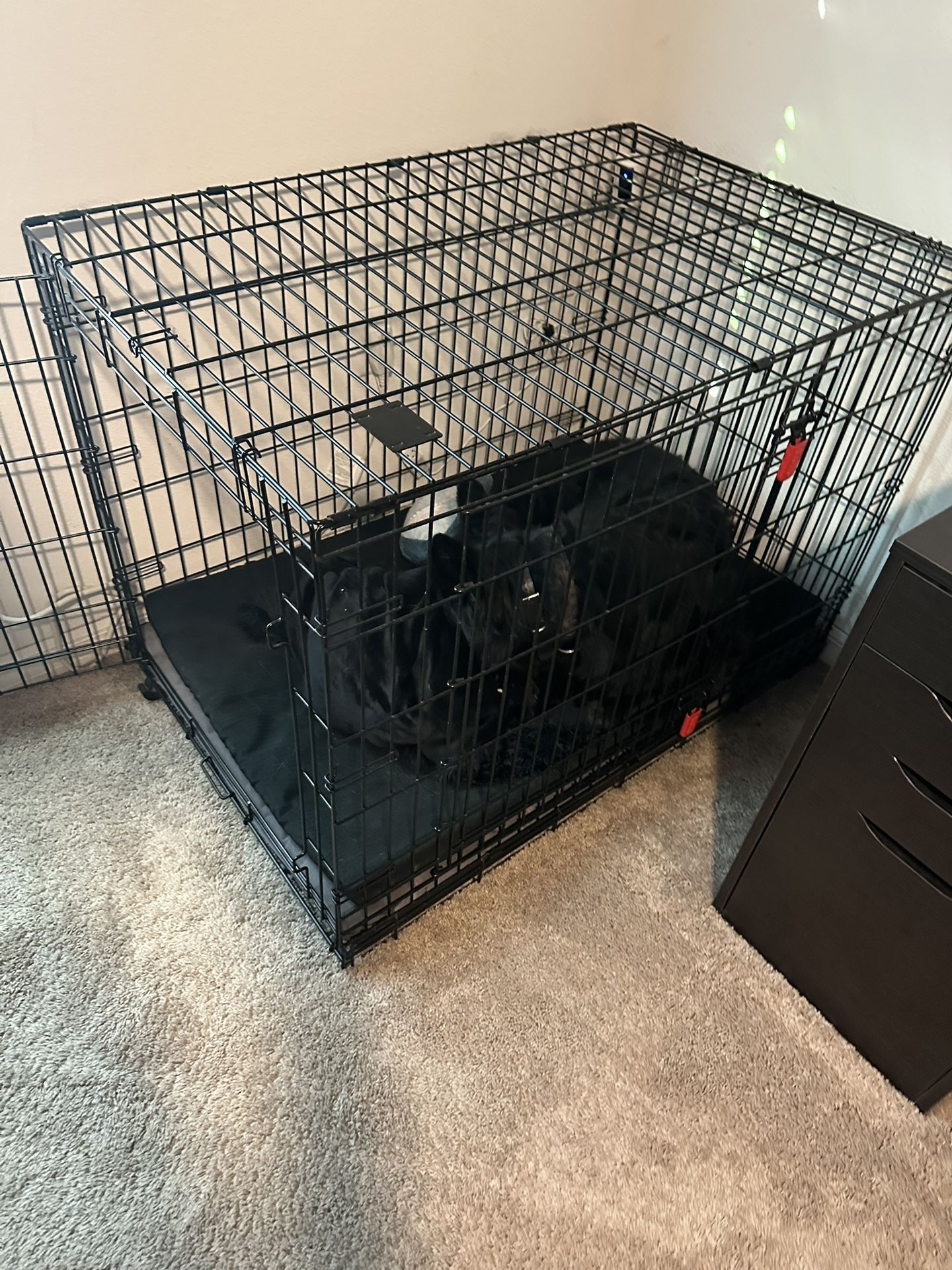 Large Double Door Kong Crate 