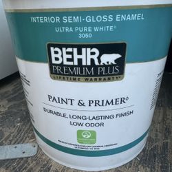 Pintura Nueva 