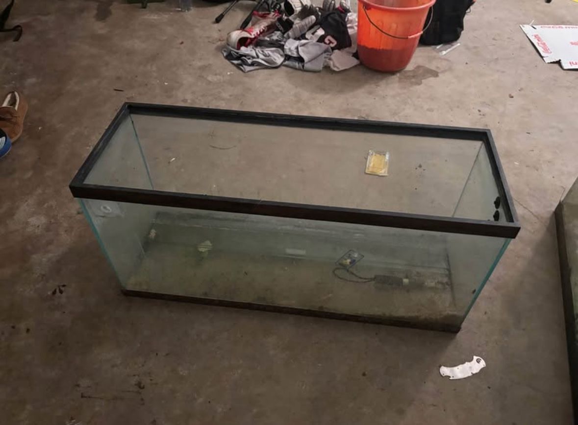 Fish Tank Come With stuff
