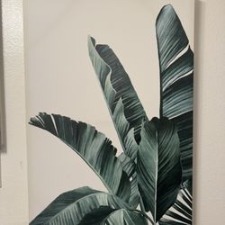 Plant Wall Decor 