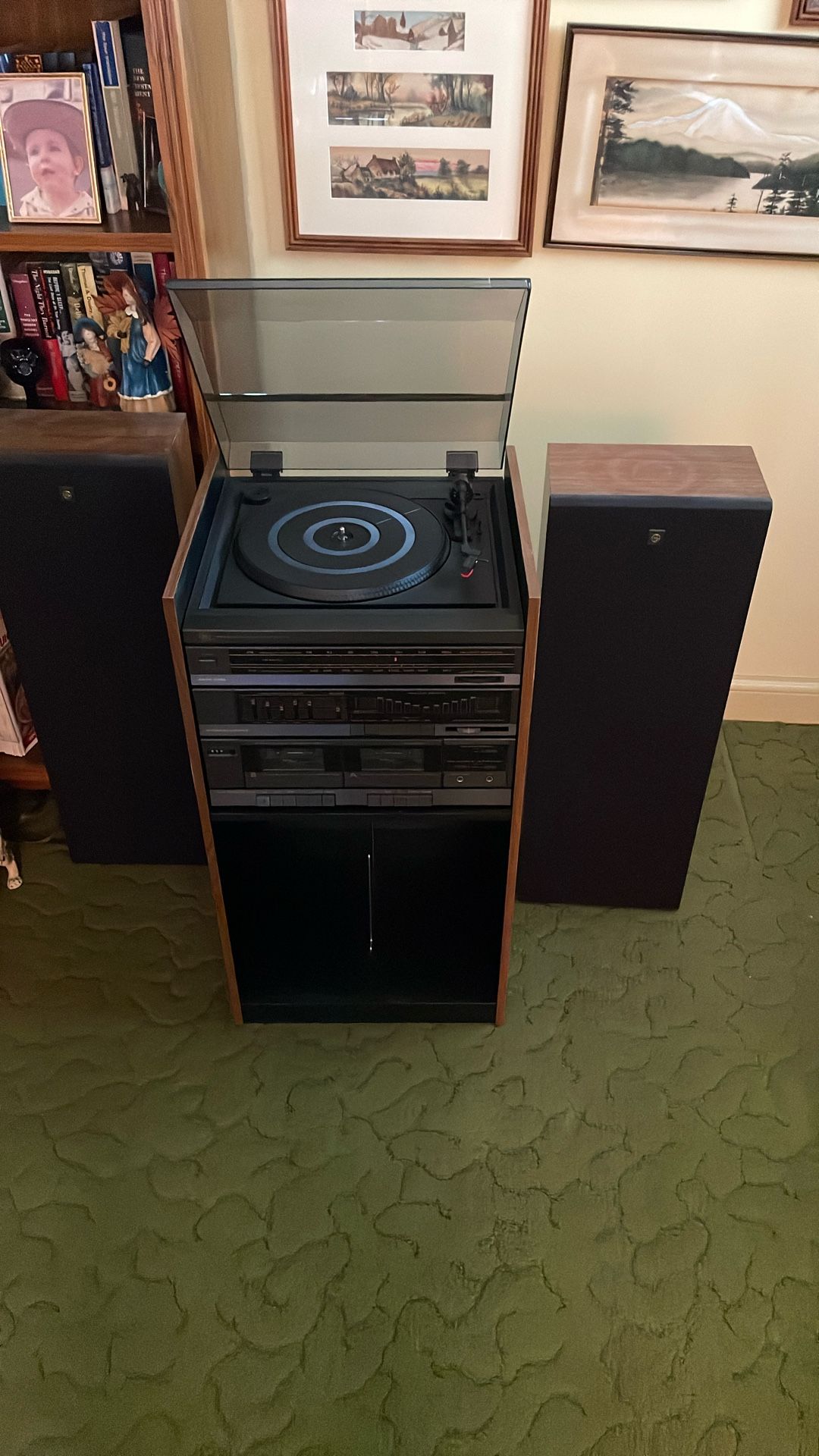 Stereo with record player
