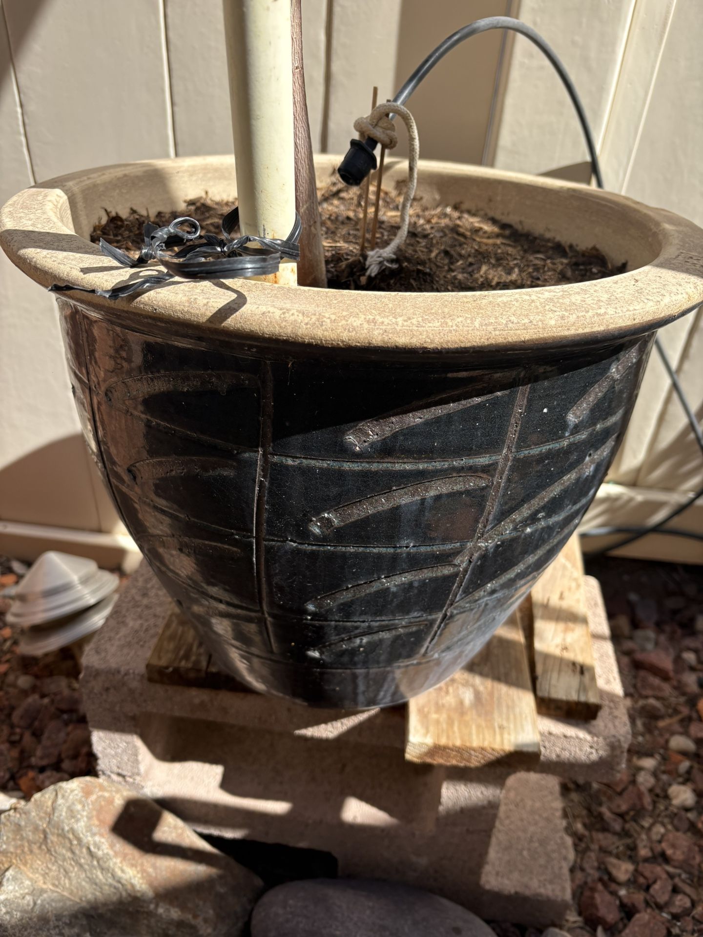 Plant Container