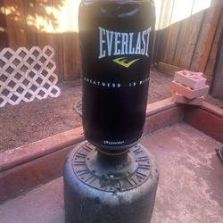Everlast Standing Punching Bag