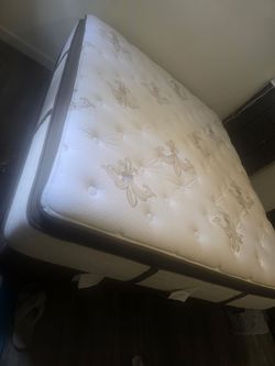 Sterns & Foster's Matress w/ Base