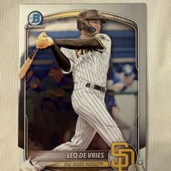 Leo De Vries 