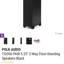 Polk Audio TSI 300