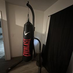 Everlast Punching Bag And Stand 