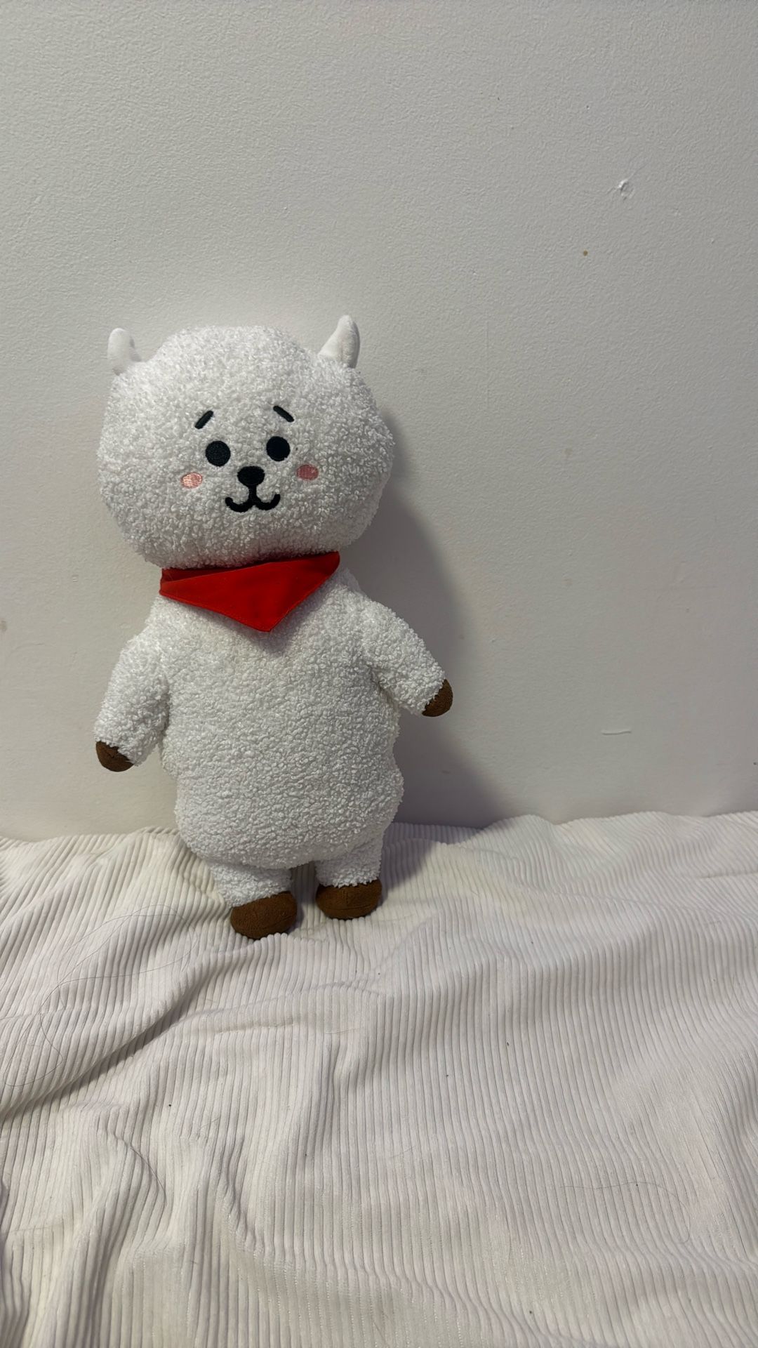 BT21 RJ