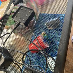 Fish Tank With  Rocks And And Few  Decor 