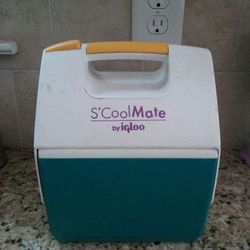 Igloo S'coolMate lunch cooler📸📸